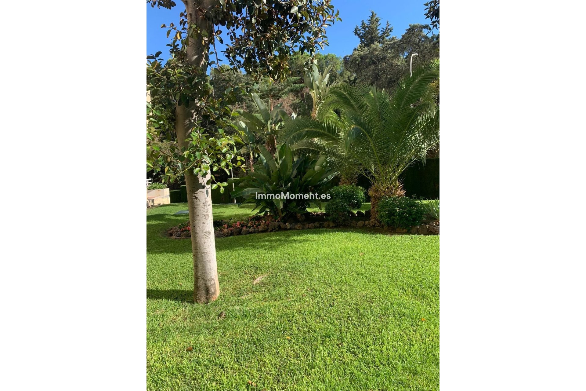 Reventa - Apartamento - Málaga - Limonar