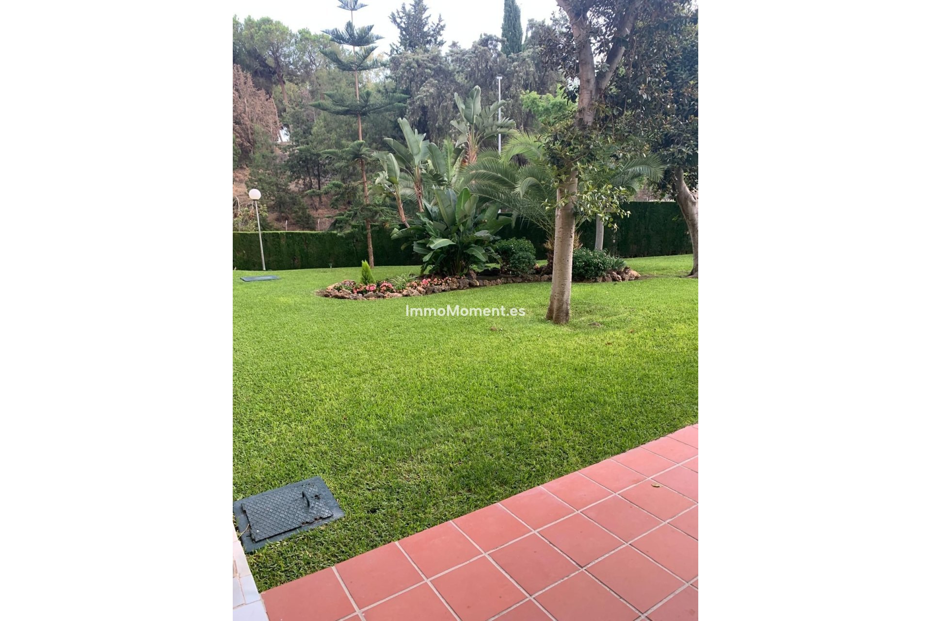 Reventa - Apartamento - Málaga - Limonar