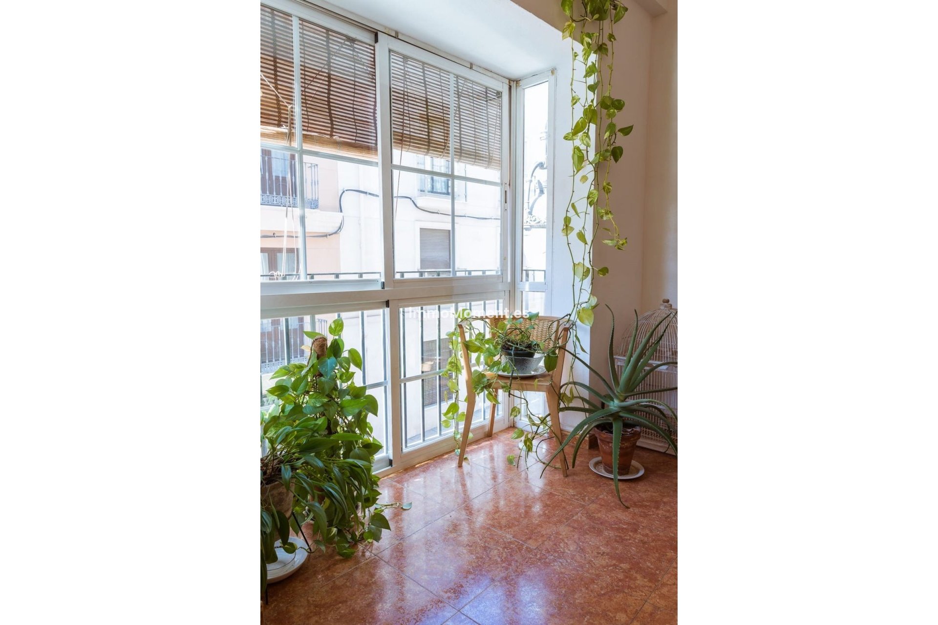 Reventa - Apartamento - Málaga - Málaga Centro