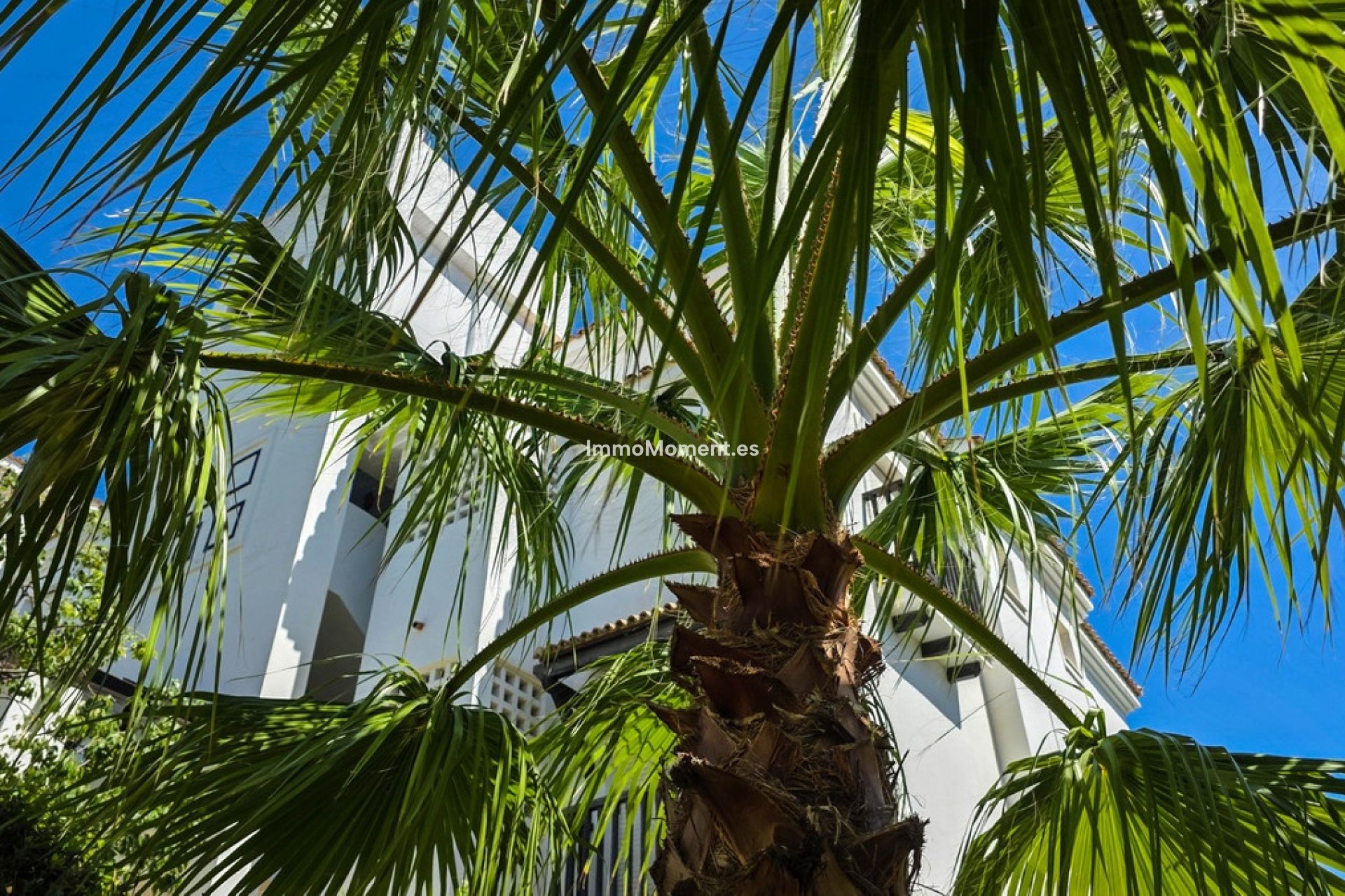 Reventa - Apartamento - Manilva - San Luis de Sabinillas