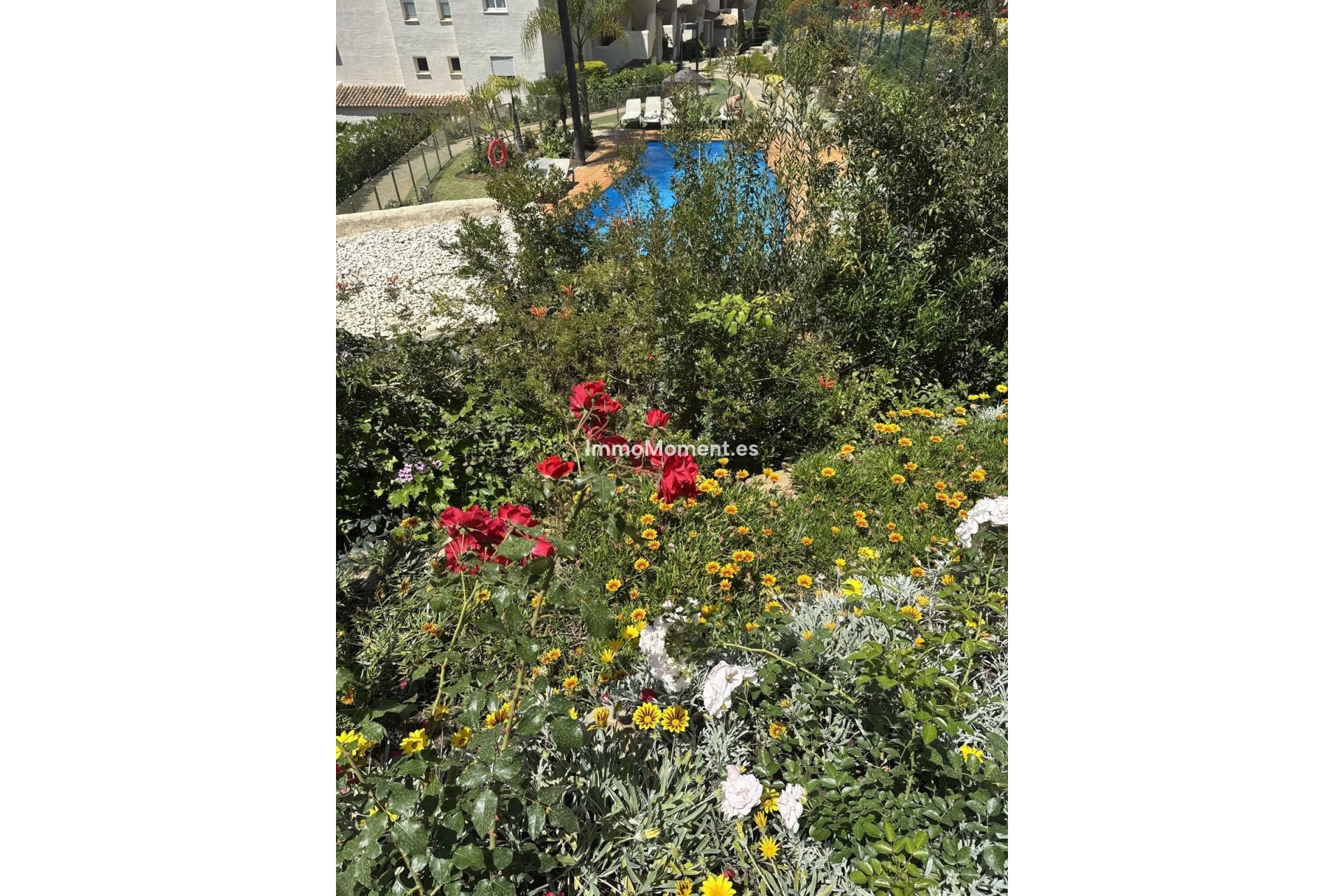 Reventa - Apartamento - Marbella - Elviria