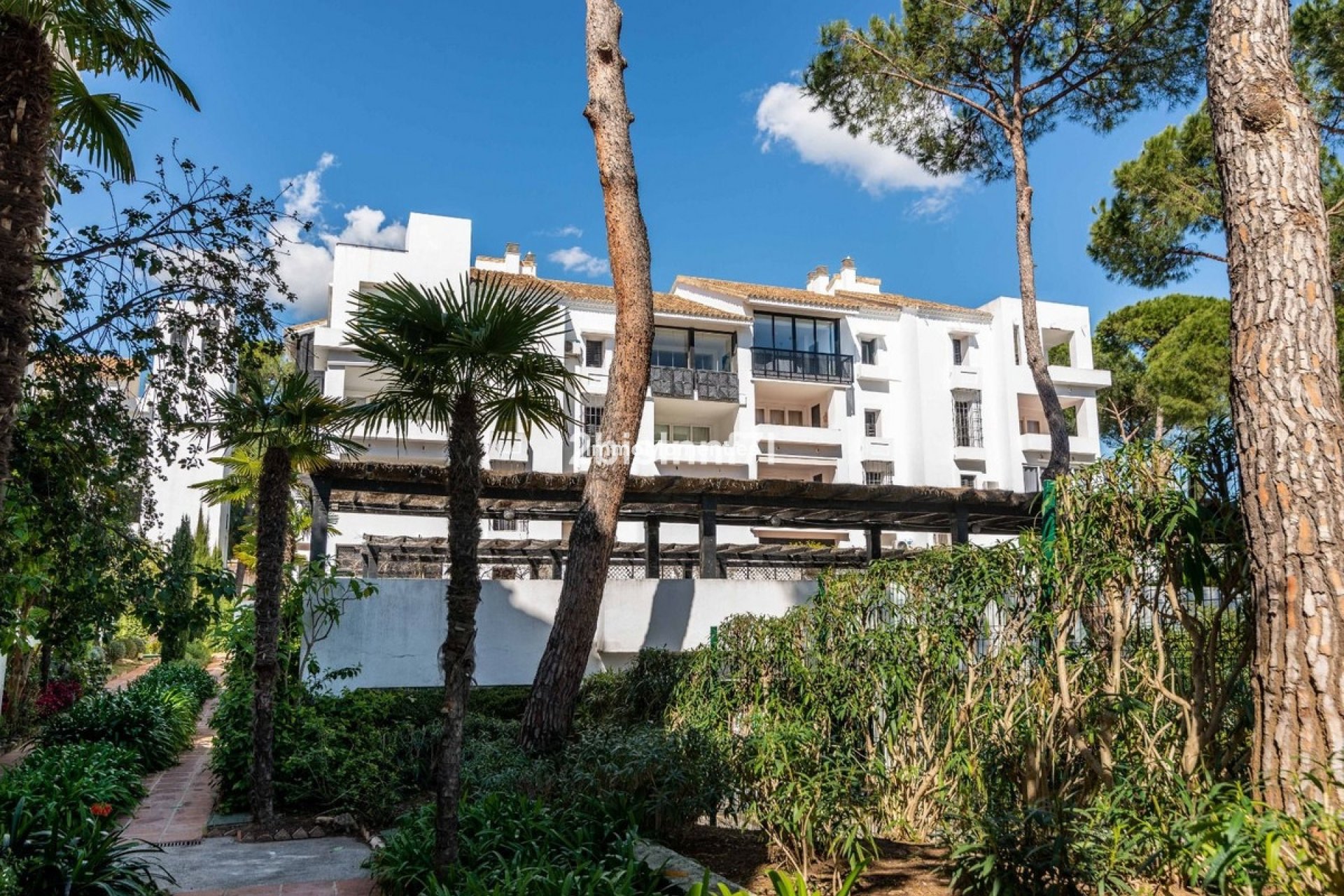 Reventa - Apartamento - Marbella - Elviria