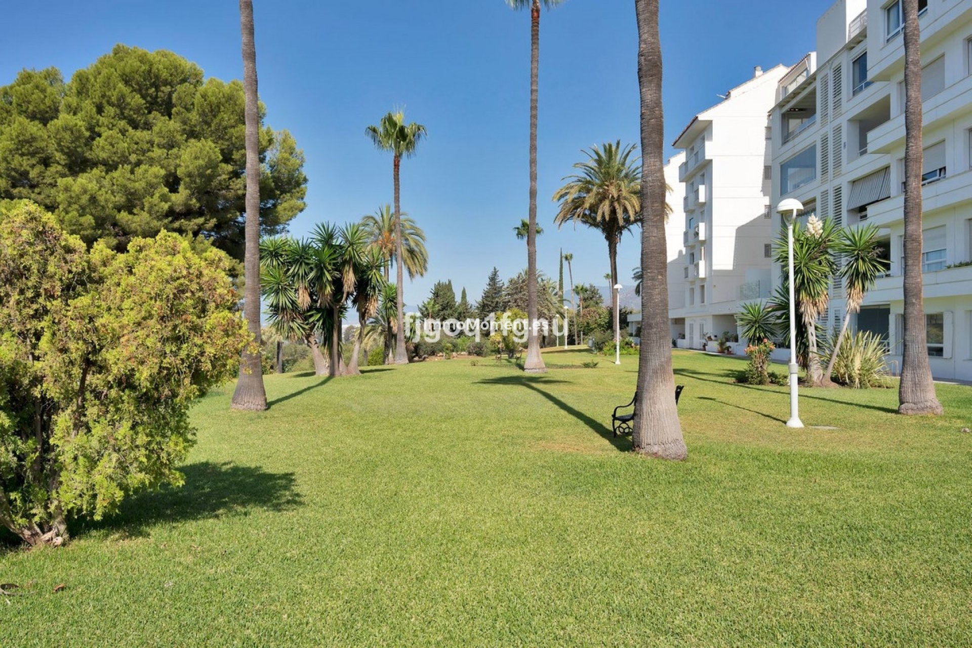 Reventa - Apartamento - Marbella - Marbella Centro