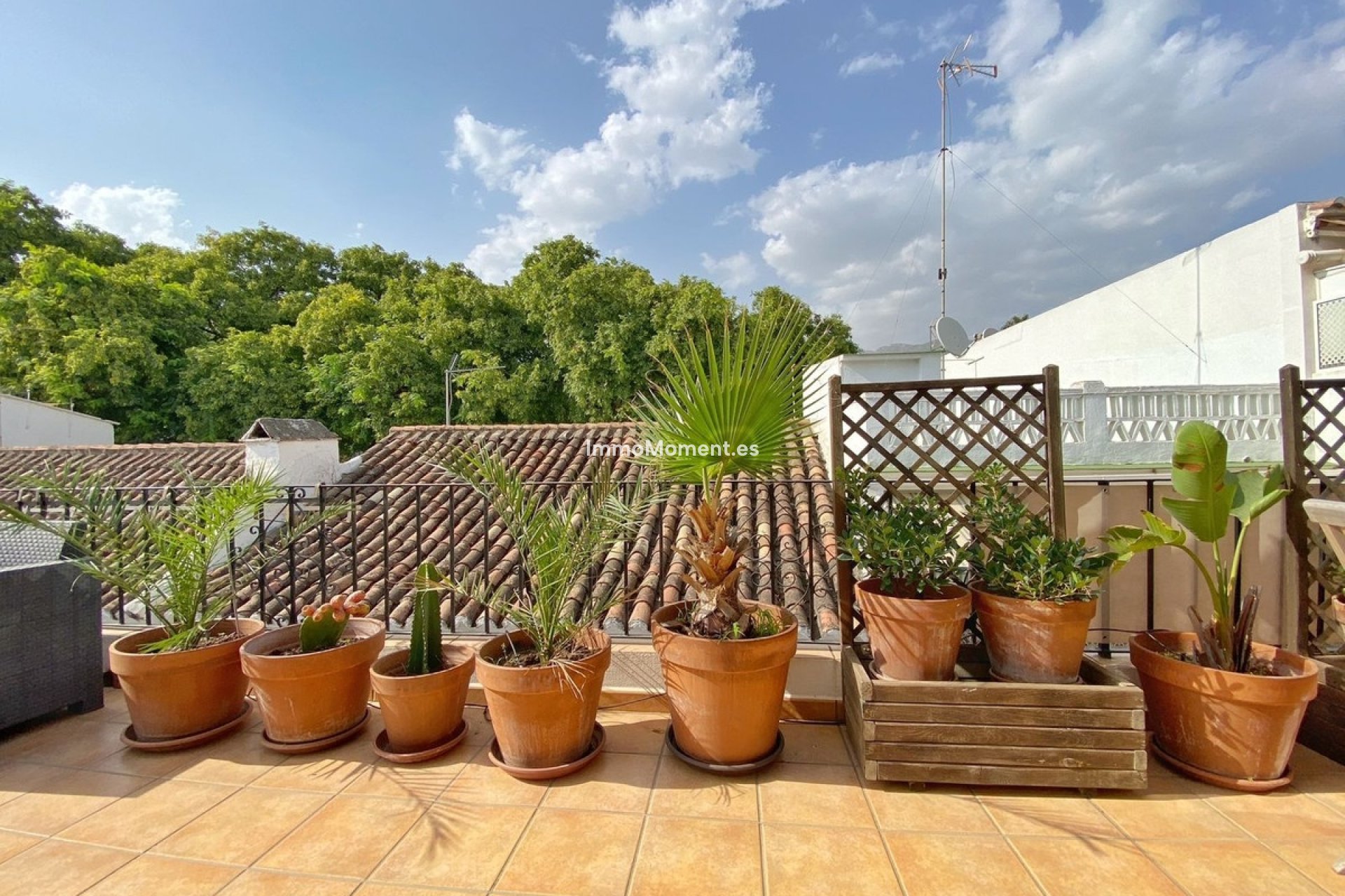 Reventa - Apartamento - Marbella - Marbella Centro