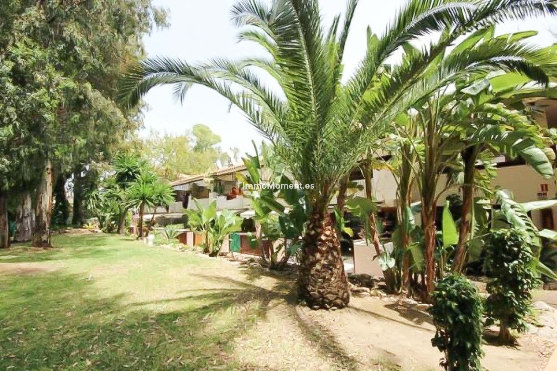 Reventa - Apartamento - Marbella - Marbella Centro