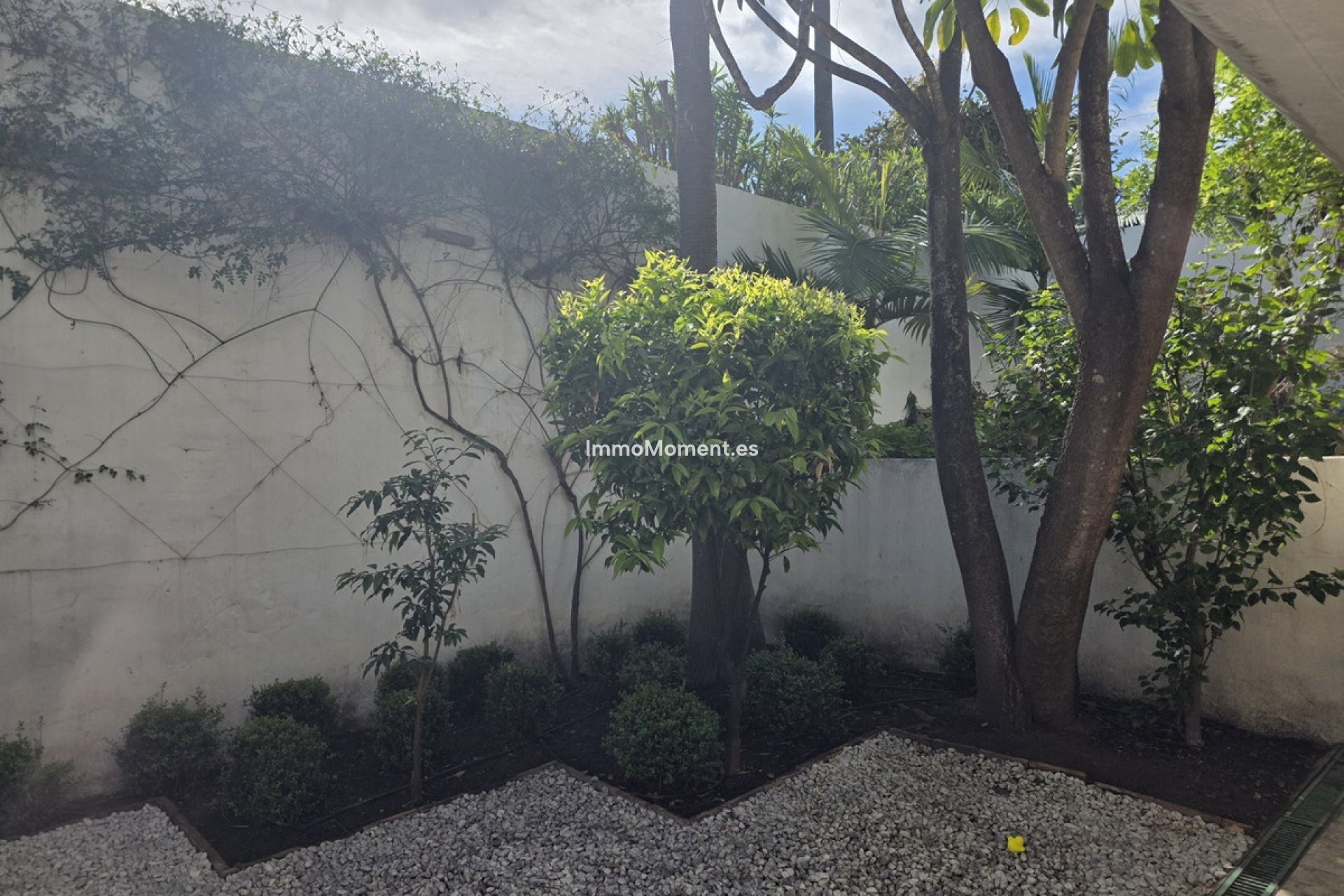 Reventa - Apartamento - Marbella - Marbella Centro