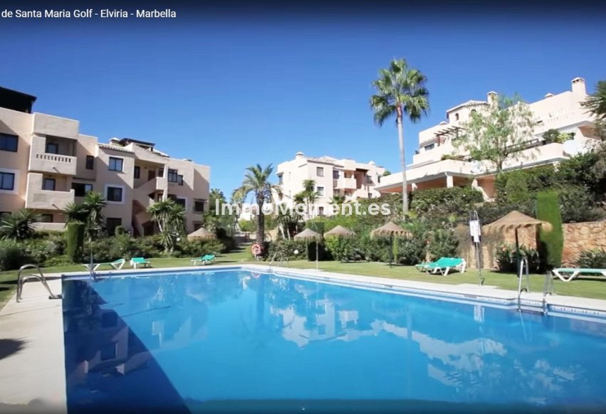 Reventa - Apartamento - Marbella - Marbella Centro