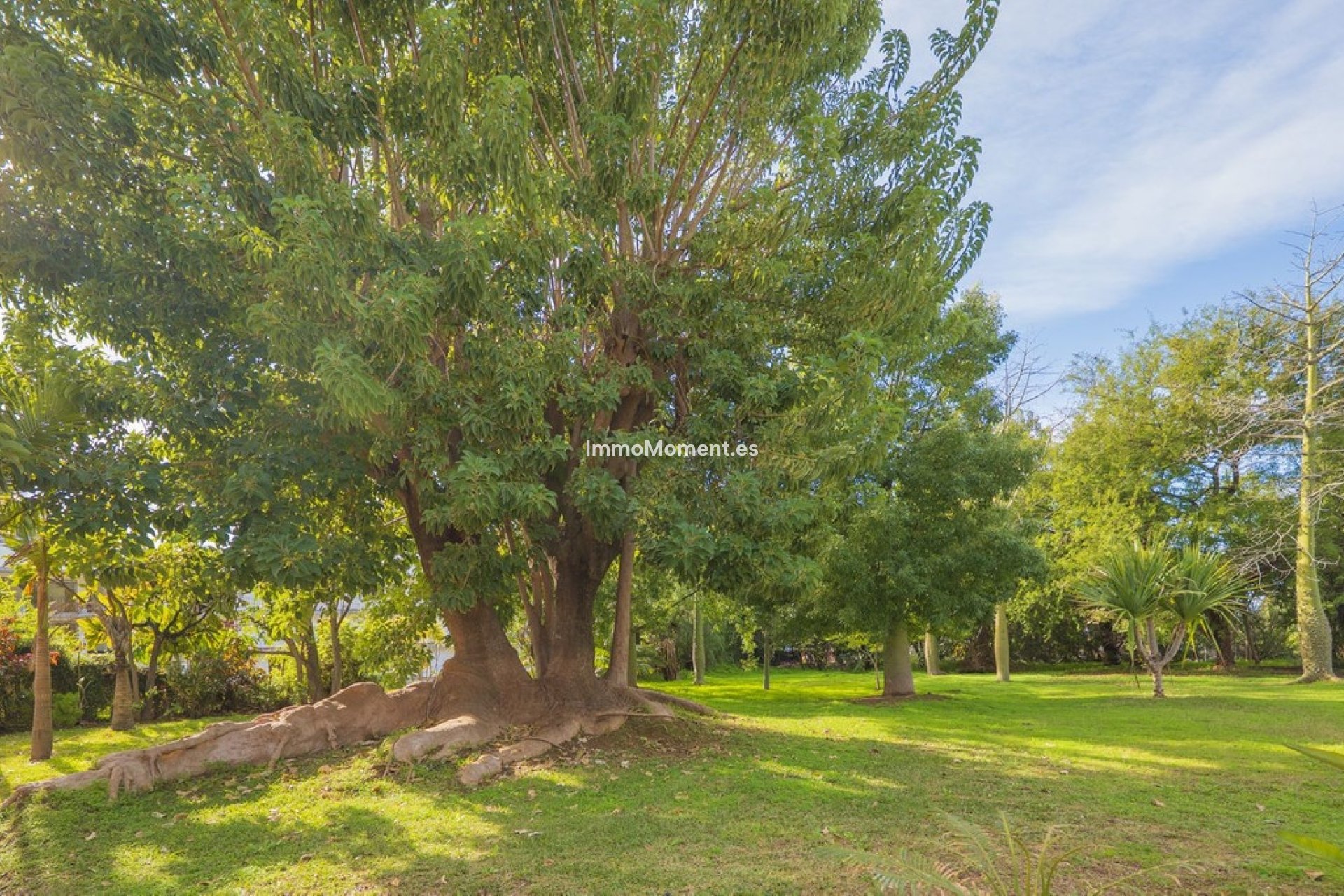 Reventa - Apartamento - Marbella - Marbella Centro
