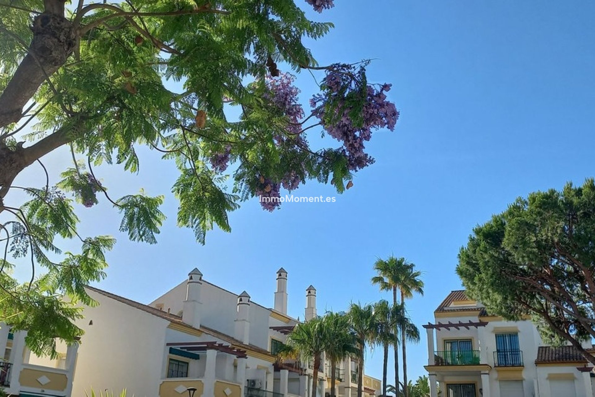 Reventa - Apartamento - Marbella - Marbesa