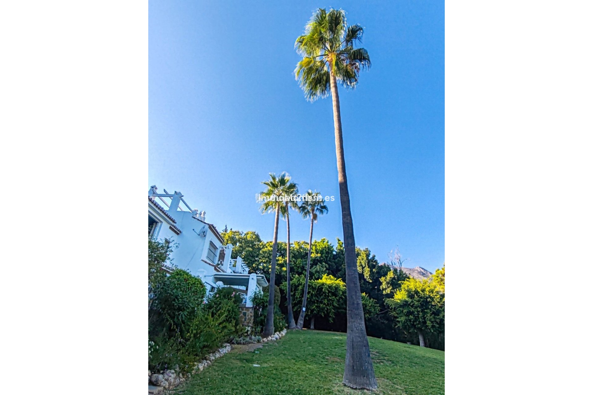 Reventa - Apartamento - Marbella - Nagüeles