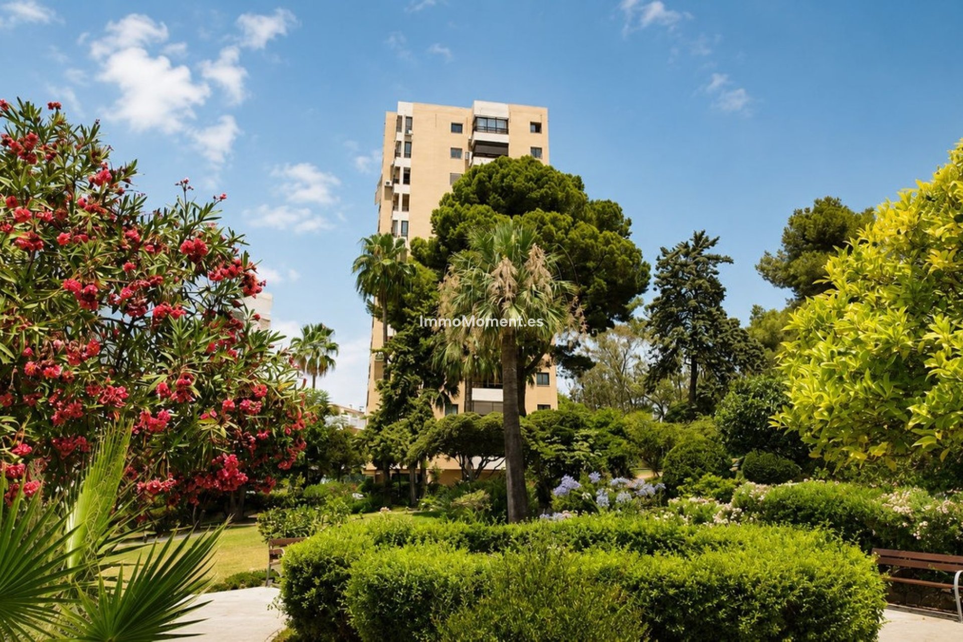 Reventa - Apartamento - Marbella - Nueva Andalucía