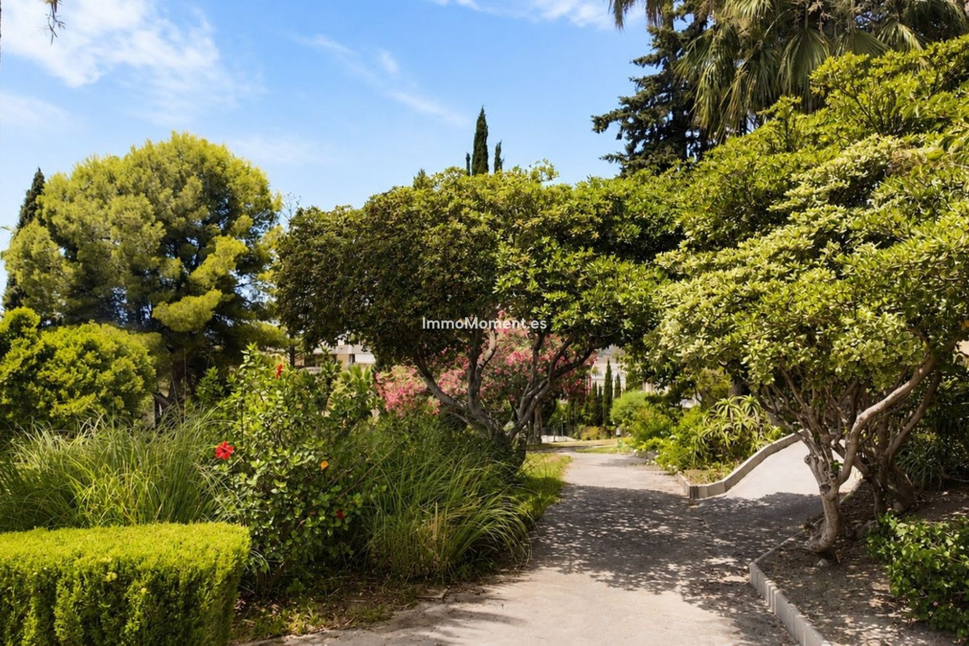 Reventa - Apartamento - Marbella - Nueva Andalucía