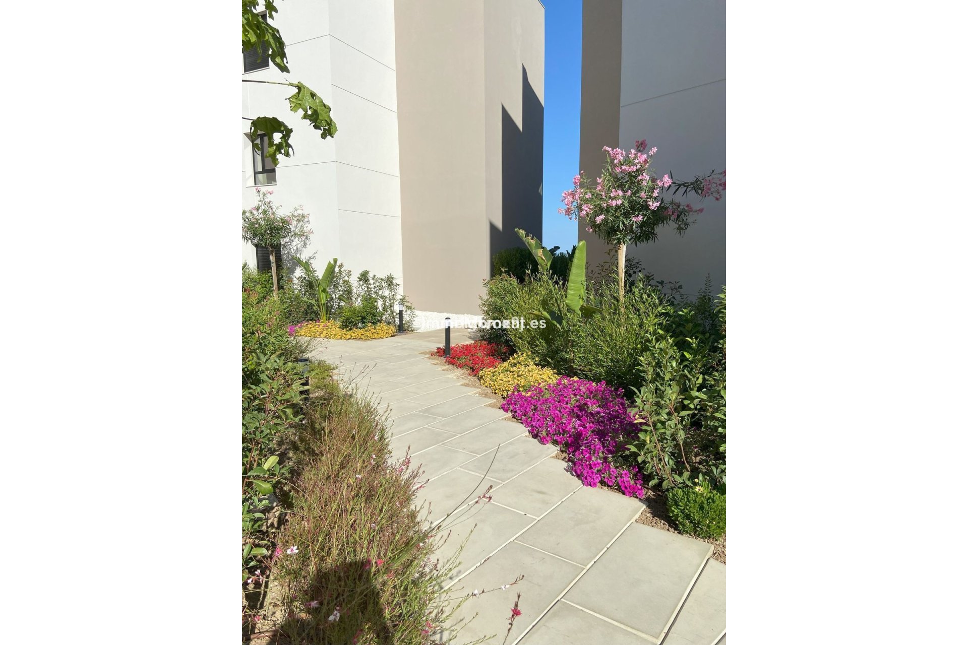 Reventa - Apartamento - Marbella - Nueva Andalucía