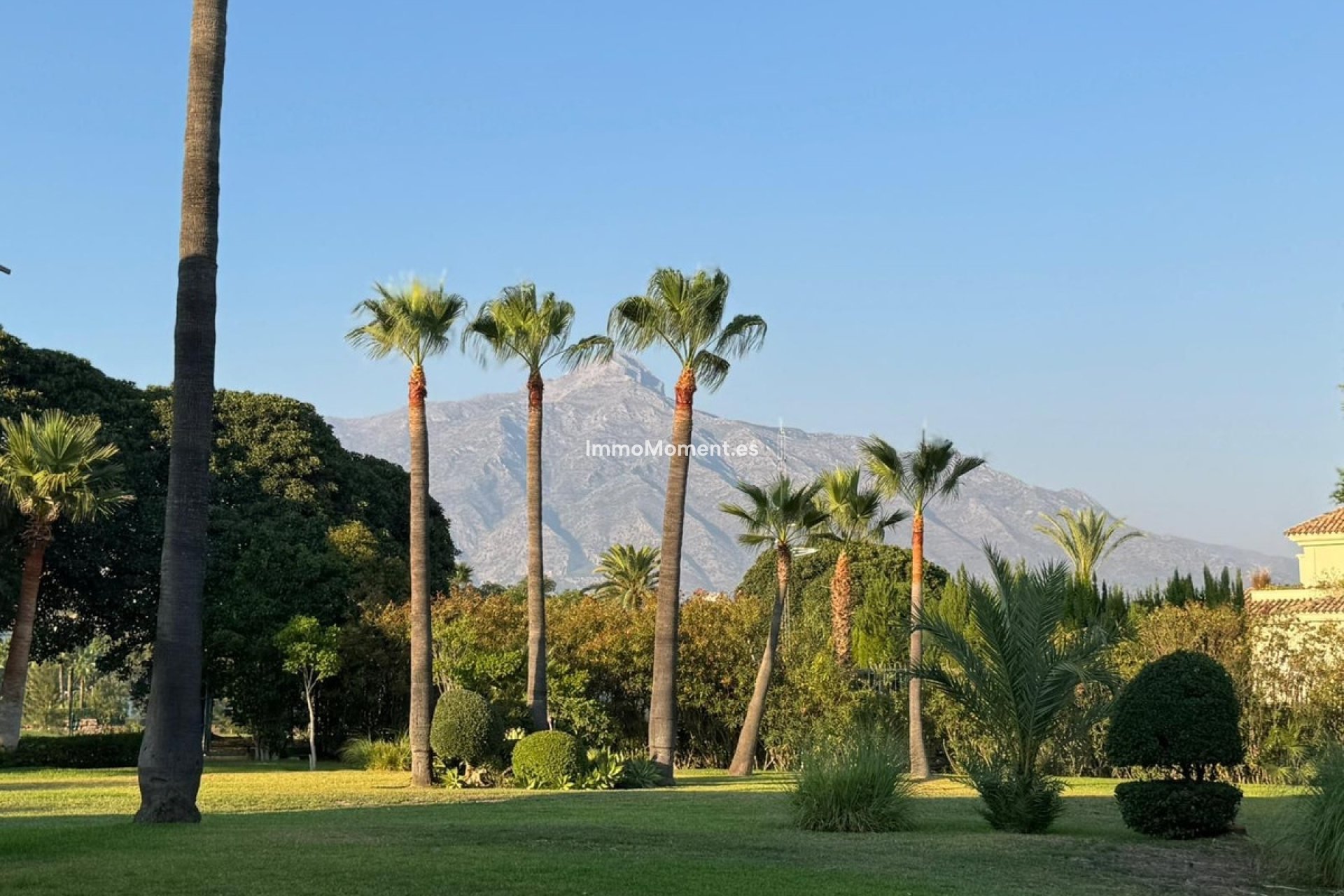 Reventa - Apartamento - Marbella - Nueva Andalucía