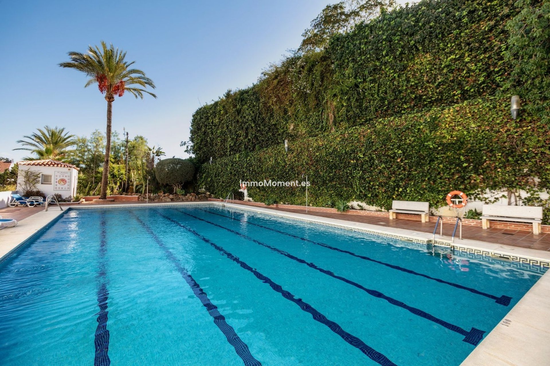 Reventa - Apartamento - Marbella - Nueva Andalucía