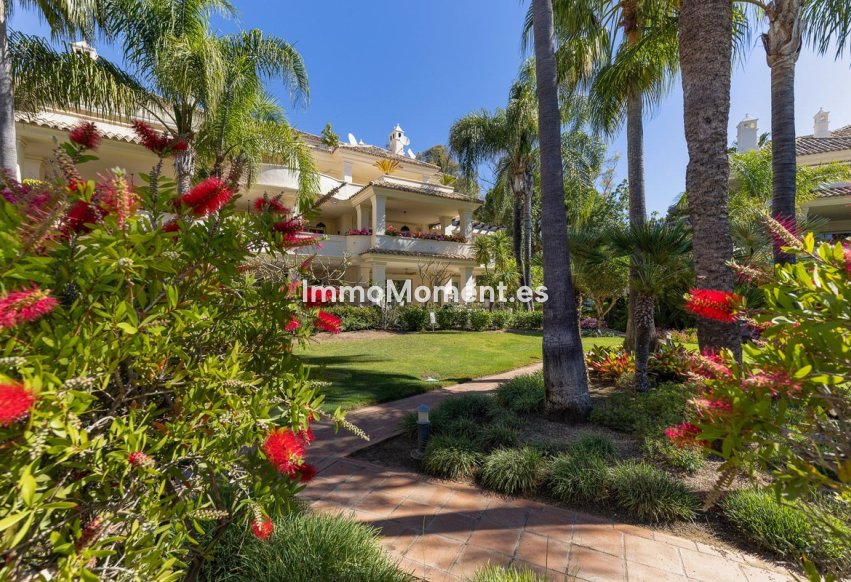 Reventa - Apartamento - Marbella - Nueva Andalucía