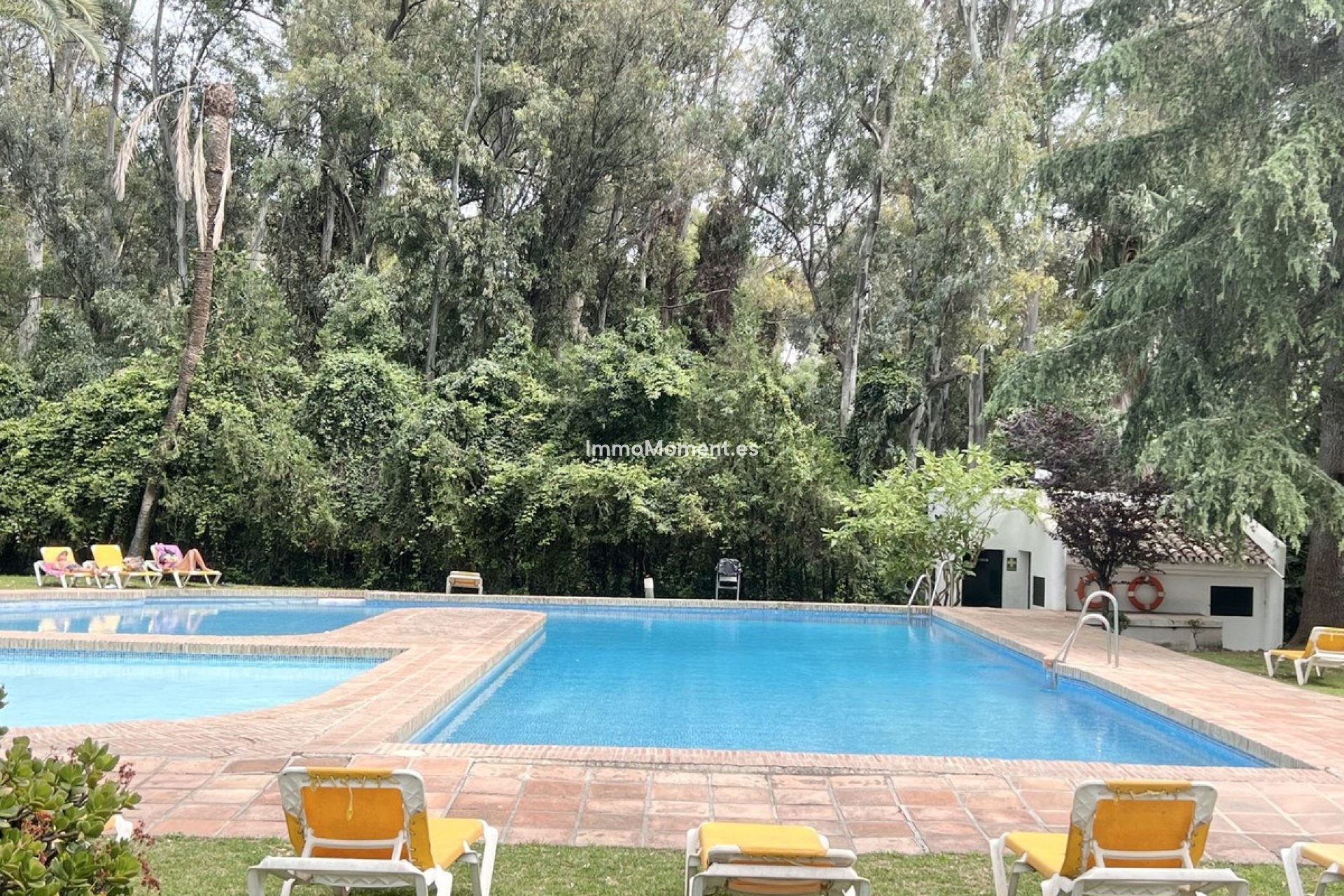Reventa - Apartamento - Marbella - Nueva Andalucía