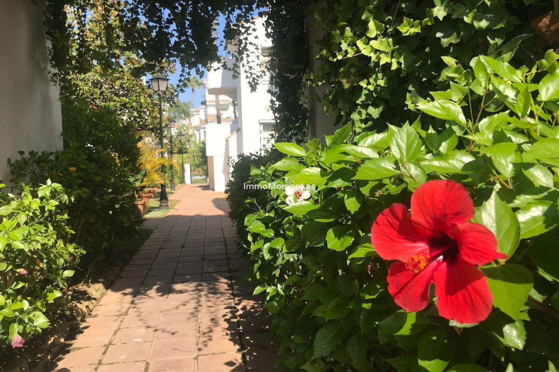 Reventa - Apartamento - Marbella - Nueva Andalucía