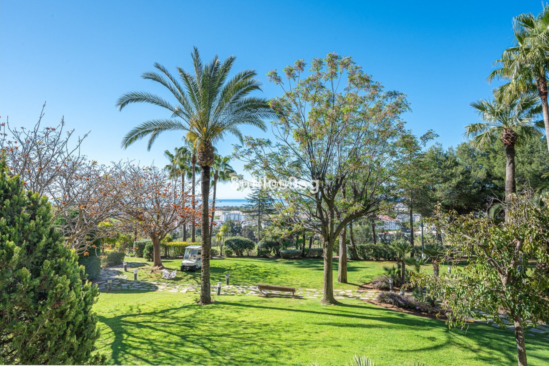 Reventa - Apartamento - Marbella - Nueva Andalucía