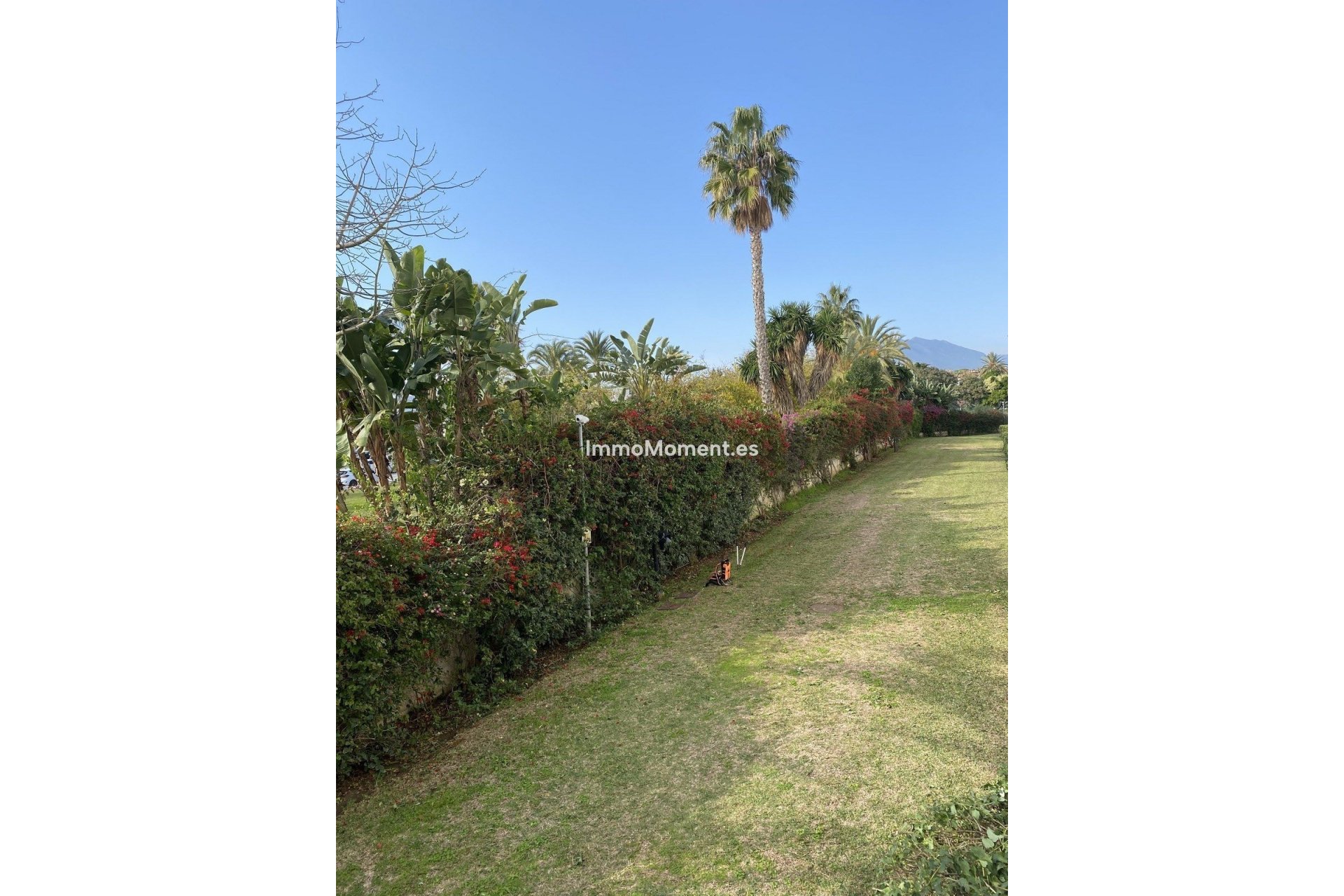 Reventa - Apartamento - Marbella - Puerto Banús