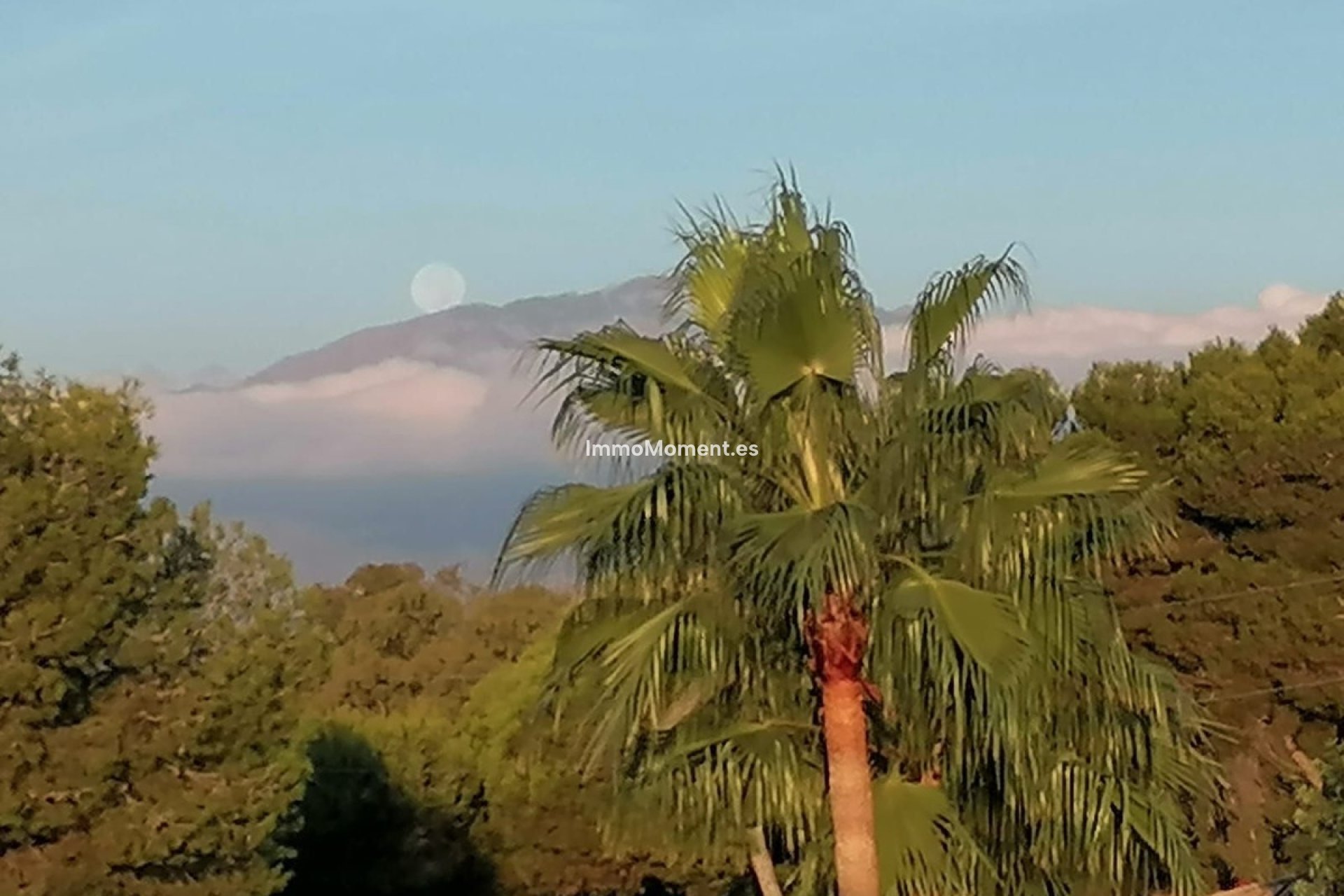 Reventa - Apartamento - New Golden Mile