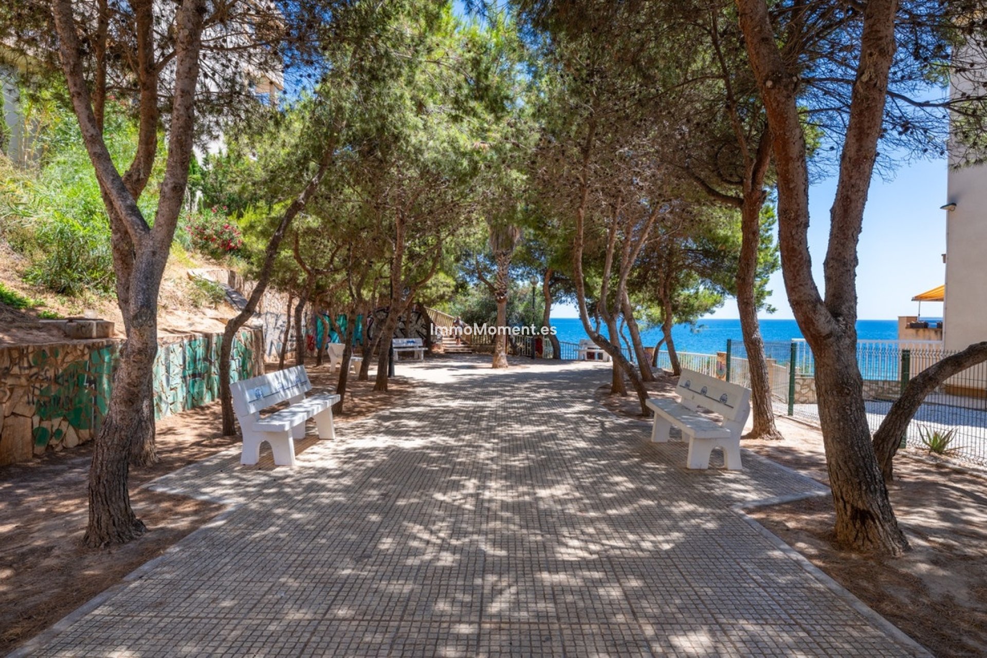 Reventa - Apartamento - Orihuela - Cabo roig - La Zenia