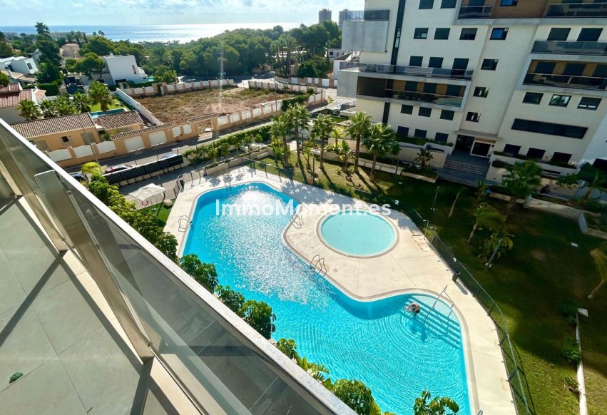 Reventa - Apartamento - Orihuela - Campoamor