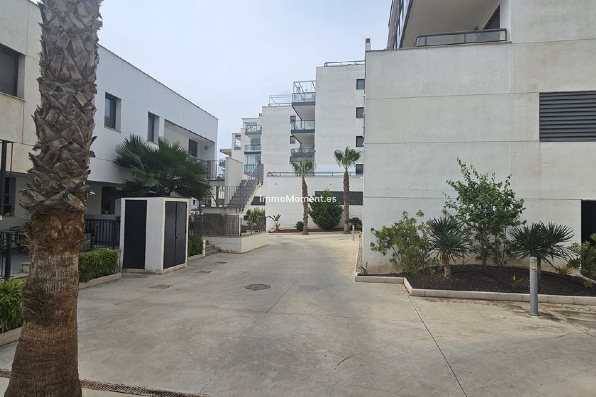 Reventa - Apartamento - Orihuela - Campoamor