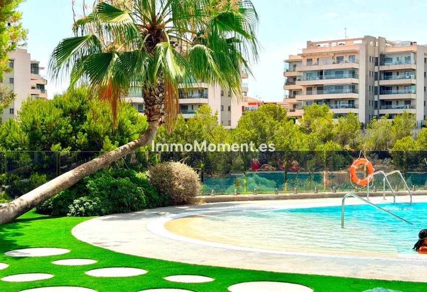 Reventa - Apartamento - Orihuela Costa - Cabo roig - La Zenia