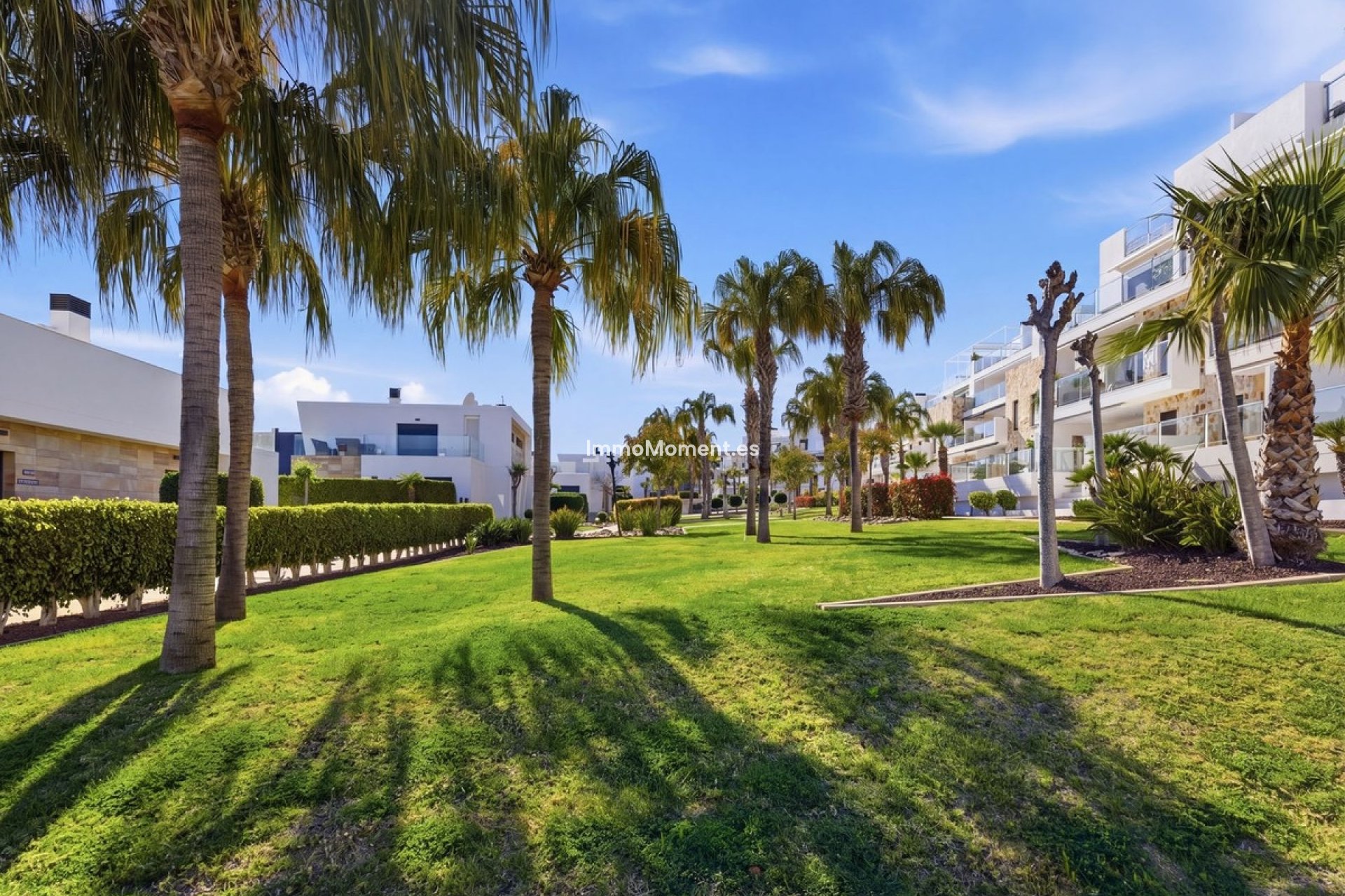 Reventa - Apartamento - Orihuela Costa - Los Dolses