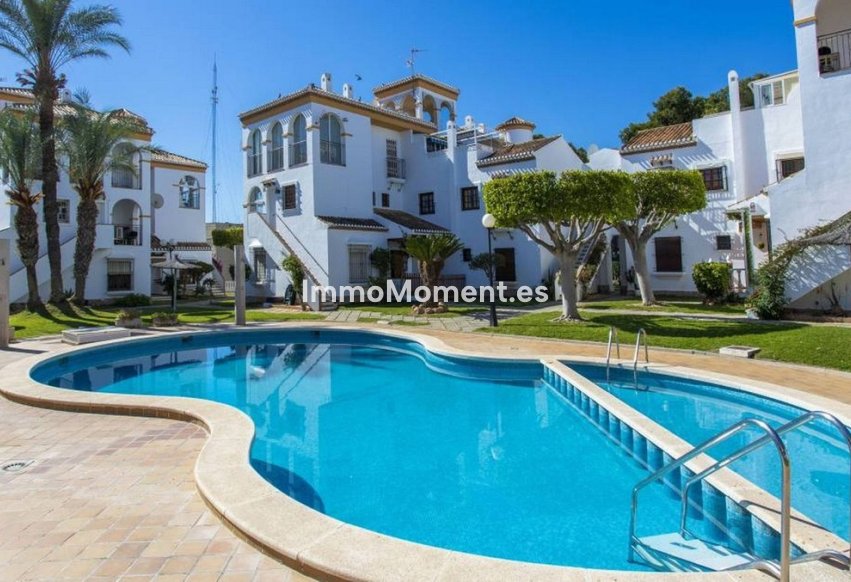 Reventa - Apartamento - Orihuela Costa - Playa Flamenca