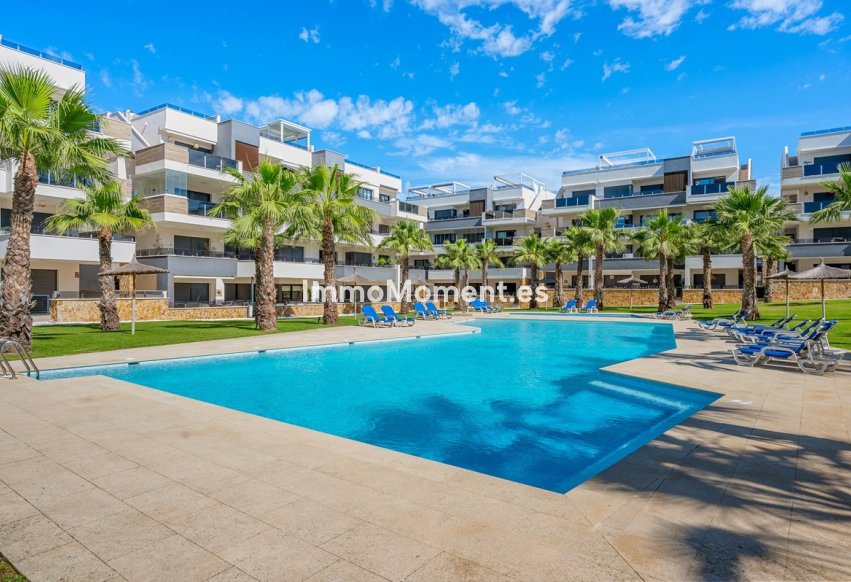Reventa - Apartamento - Orihuela - Los Altos