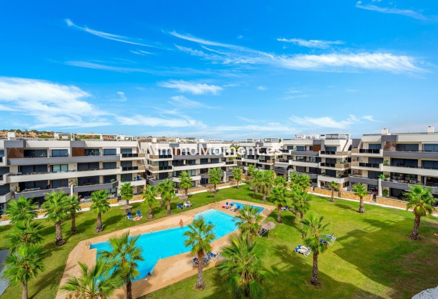 Reventa - Apartamento - Orihuela - Los Altos