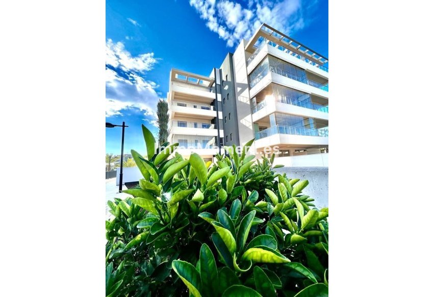 Reventa - Apartamento - Orihuela - Los Dolses