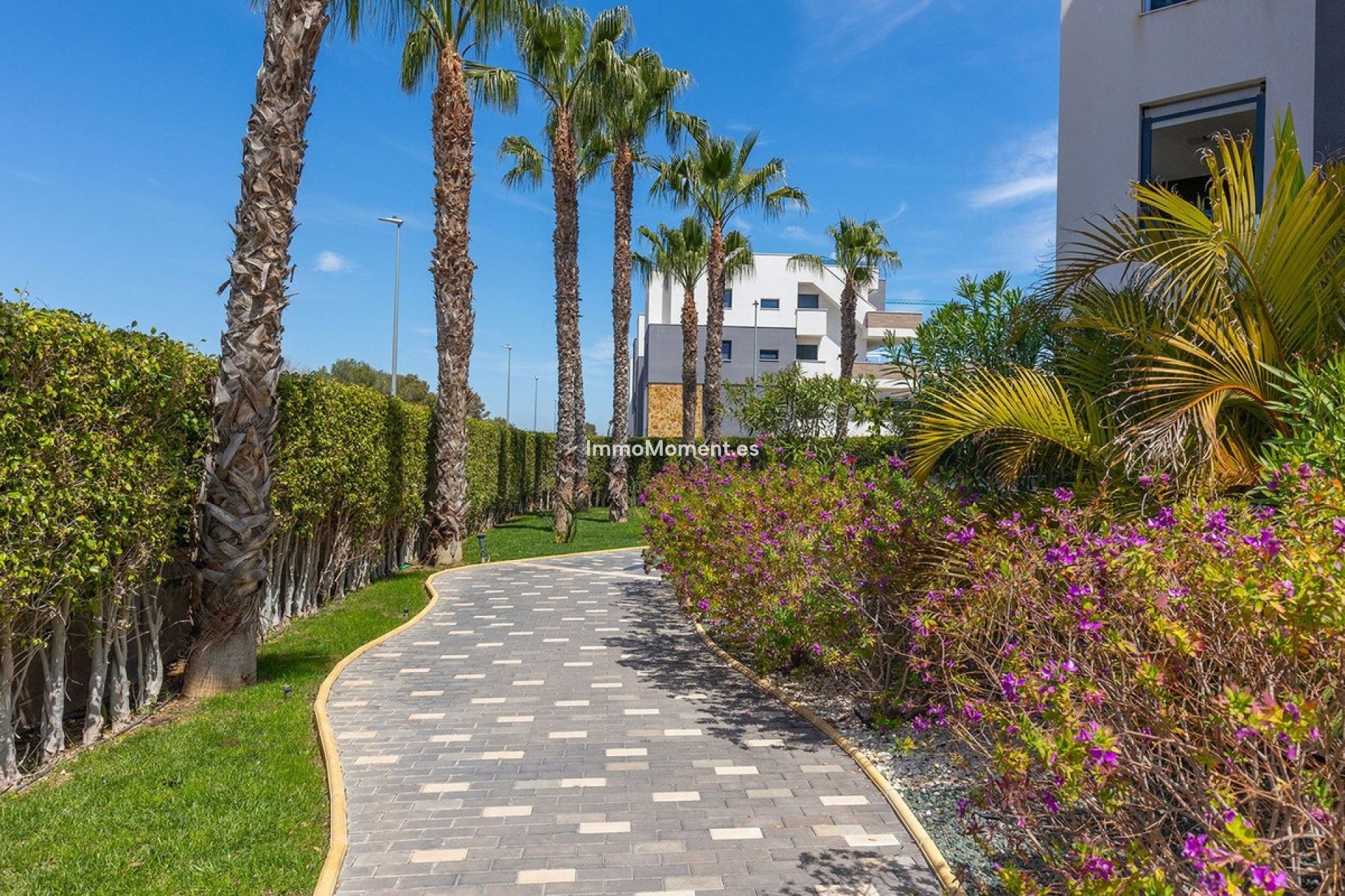 Reventa - Apartamento - Orihuela - Orihuela Costa