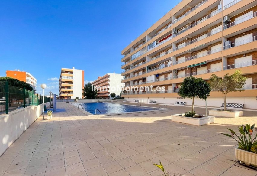 Reventa - Apartamento - Orihuela - Punta Prima
