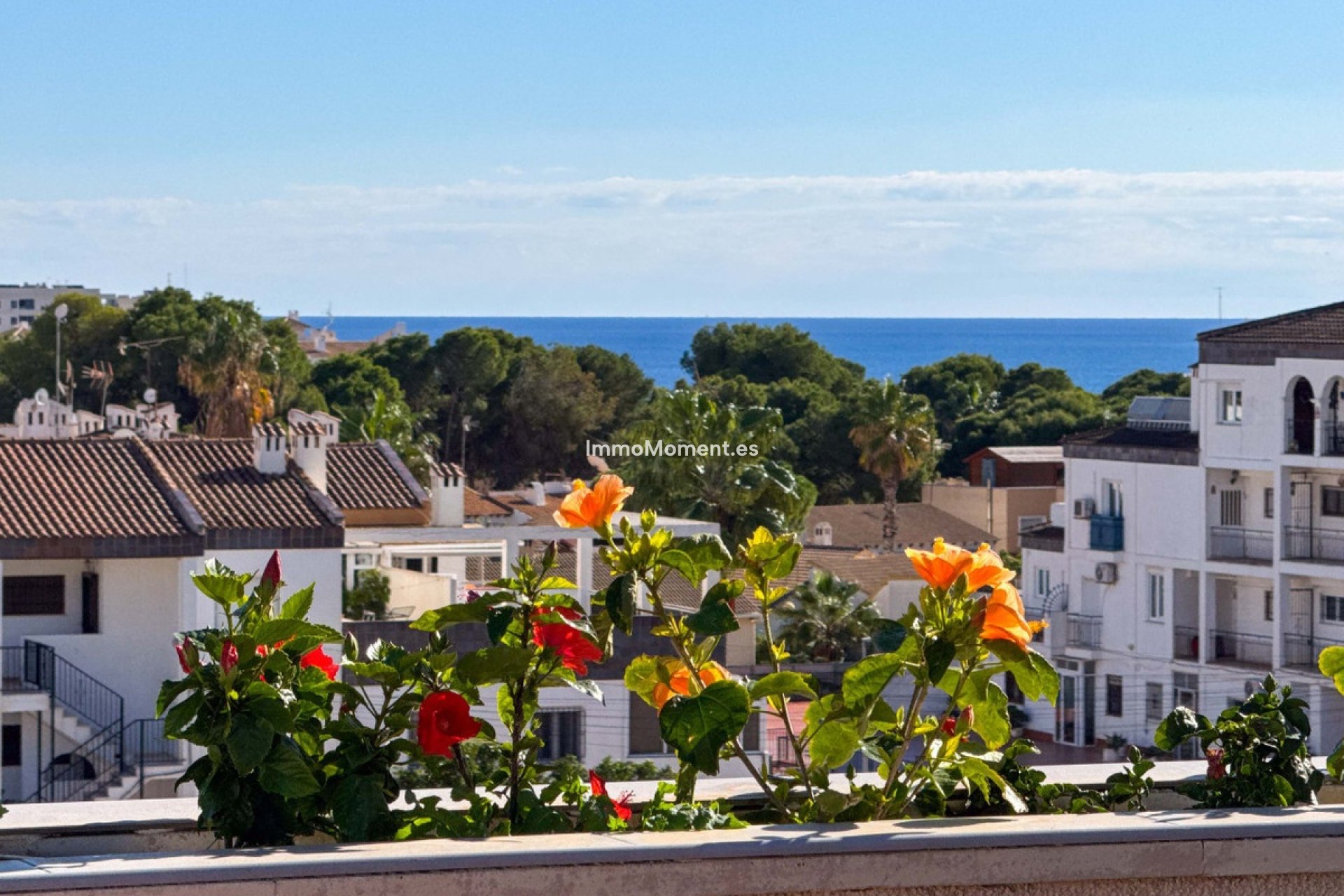 Reventa - Apartamento - Orihuela - Punta Prima