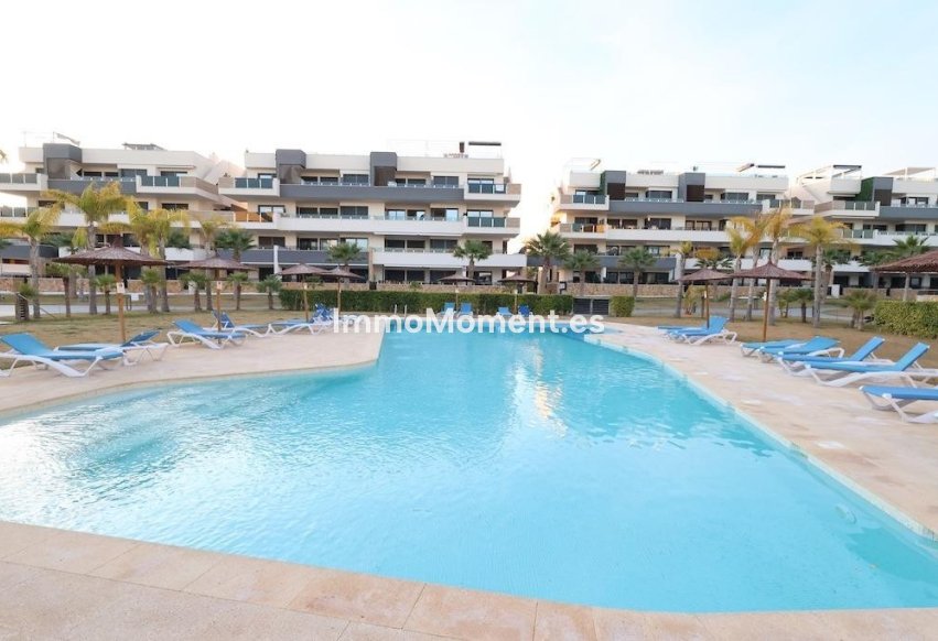 Reventa - Apartamento - Orihuela - Punta Prima