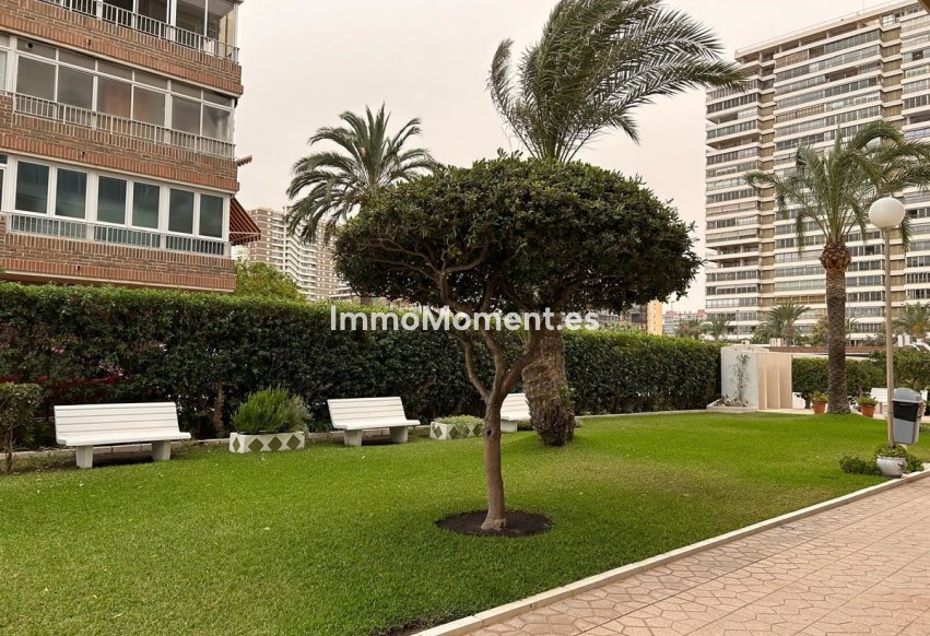 Reventa - Apartamento - San Juan de Alicante - Playa de San Juan