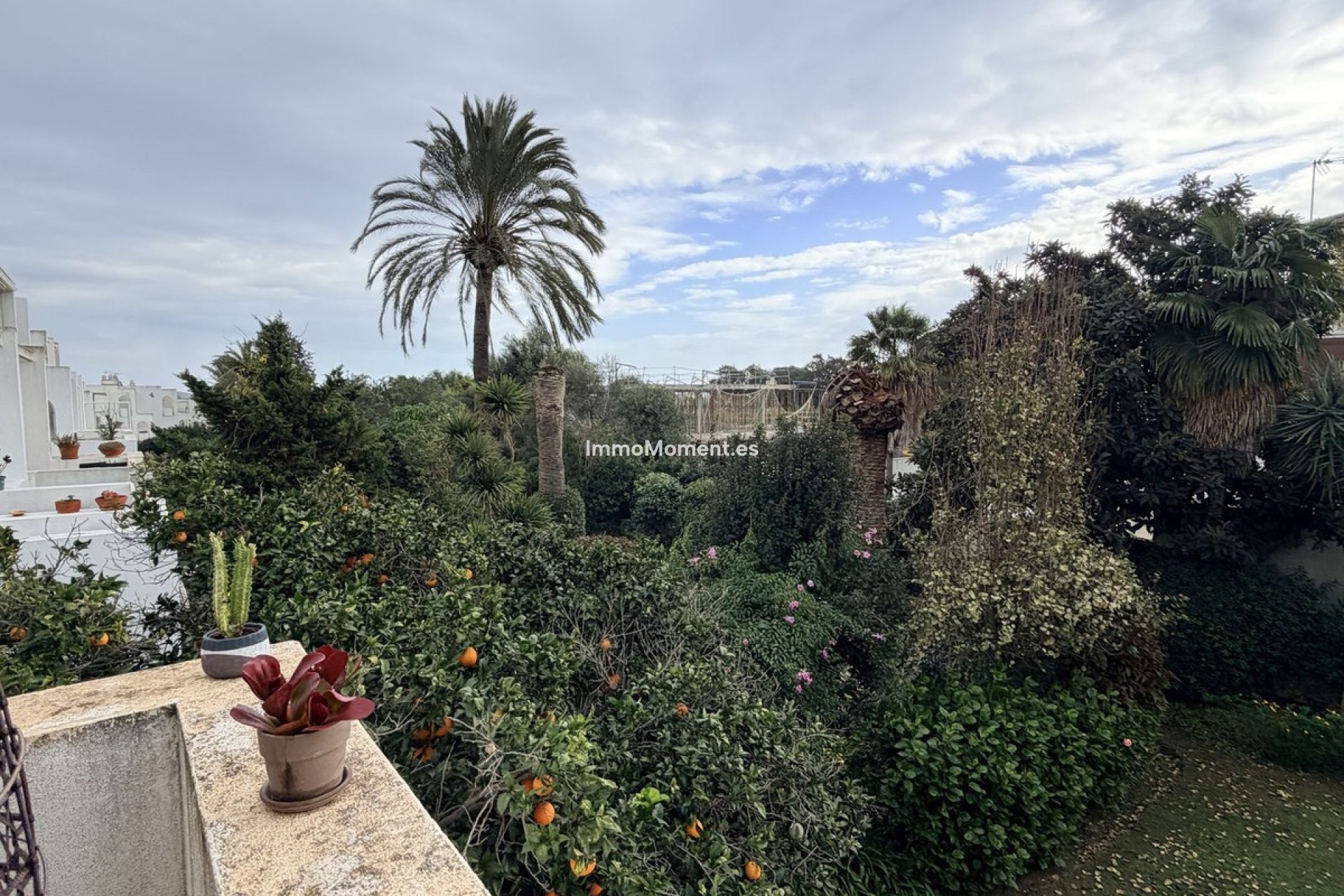 Reventa - Apartamento - Sotogrande - Sotogrande Costa