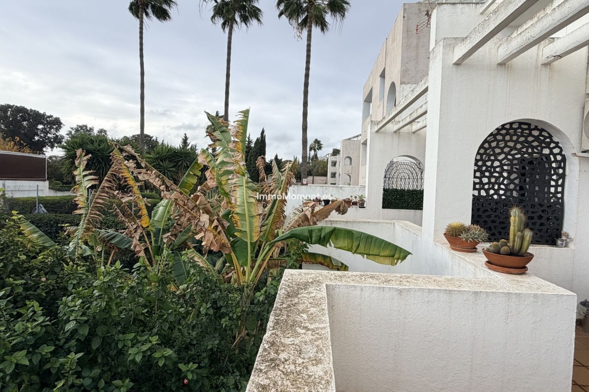 Reventa - Apartamento - Sotogrande - Sotogrande Costa