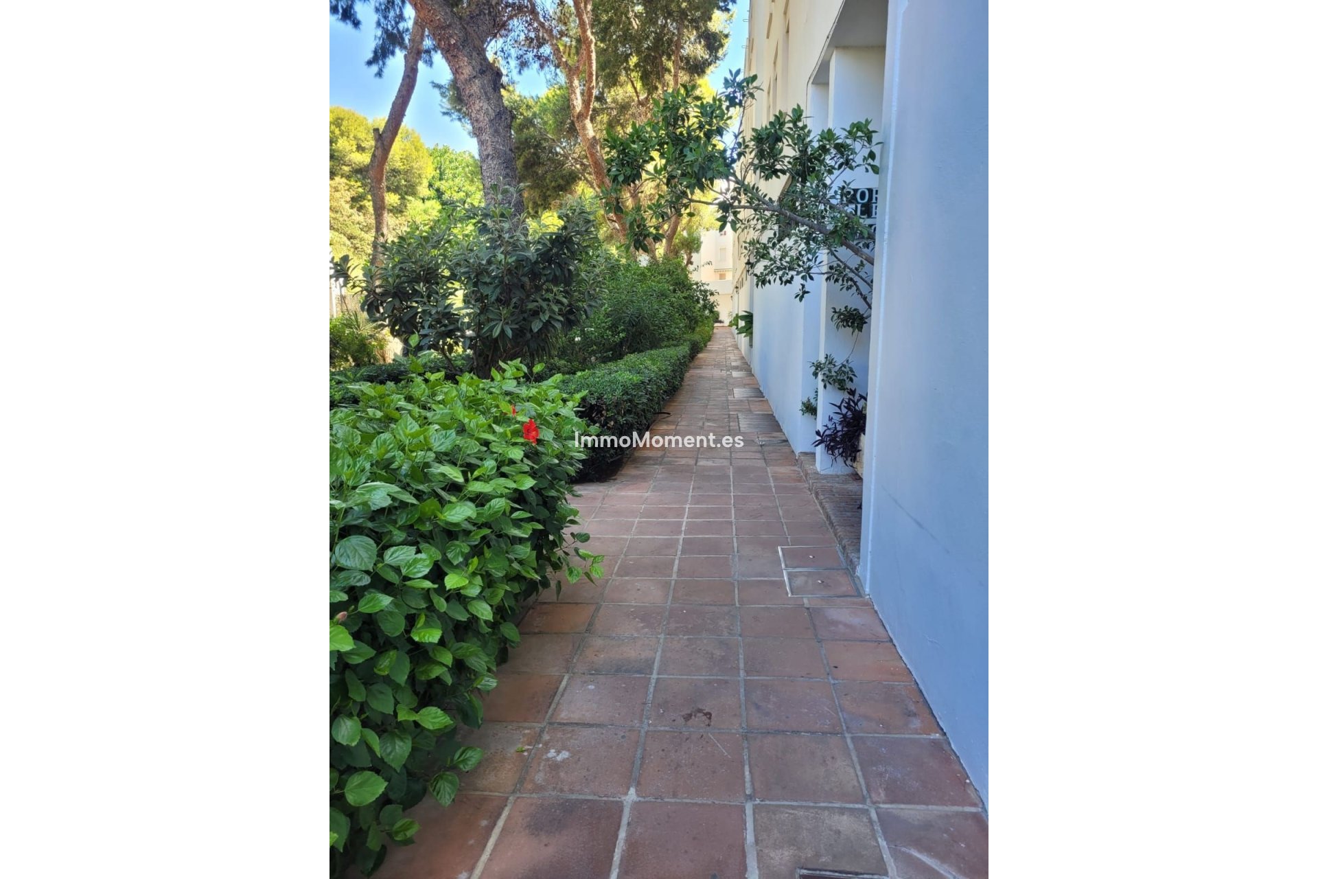 Reventa - Apartamento - Torremolinos - La Carihuela