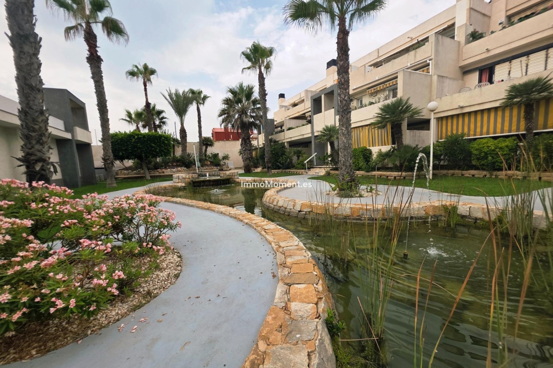 Reventa - Apartamento - Torrevieja - La Mata
