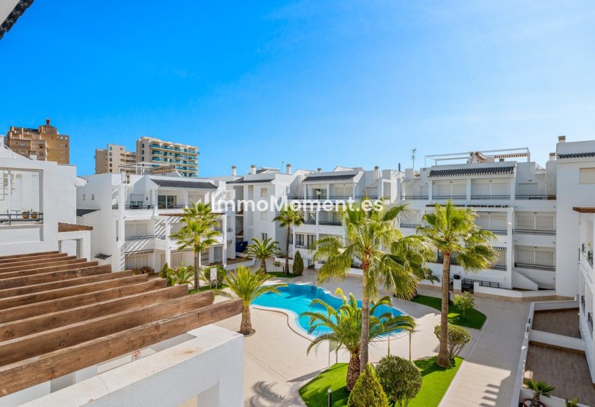 Reventa - Apartamento - Torrevieja - La Veleta