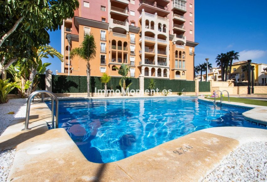 Reventa - Apartamento - Torrevieja - Torrevieja Centro
