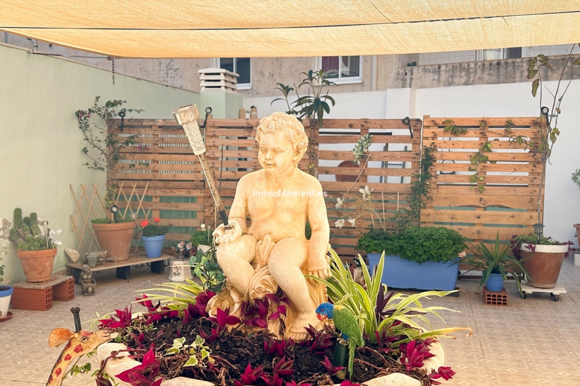 Reventa - Apartamento - Torrevieja - Torrevieja Centro