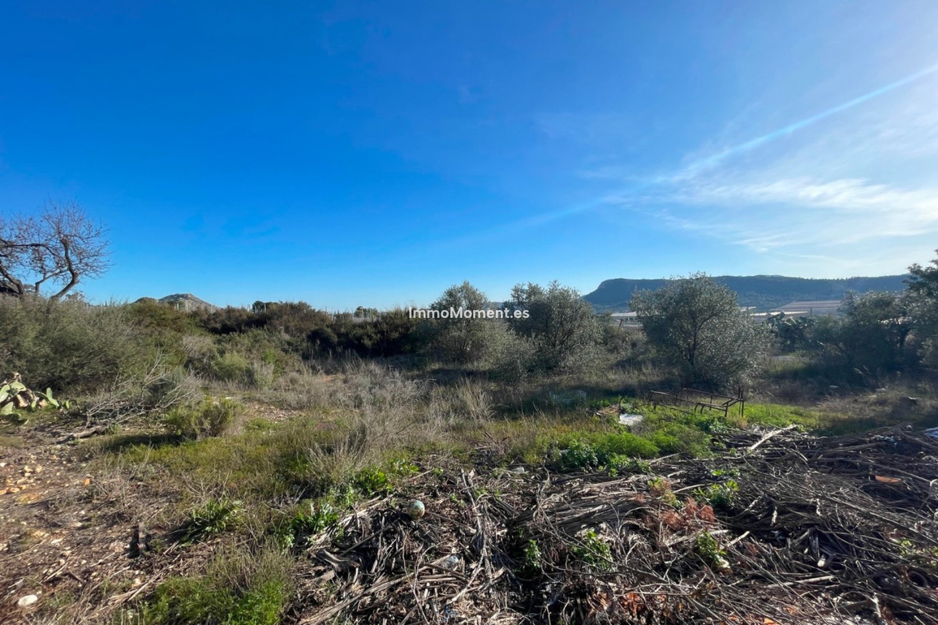 Reventa - Casa de campo - Aspe - Aspe Centro