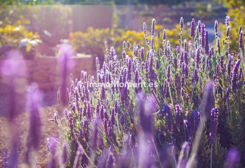 Reventa - Casa de campo - Benissa - Benissa Centro