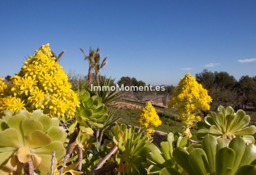 Reventa - Casa de campo - Benissa - Benissa Centro