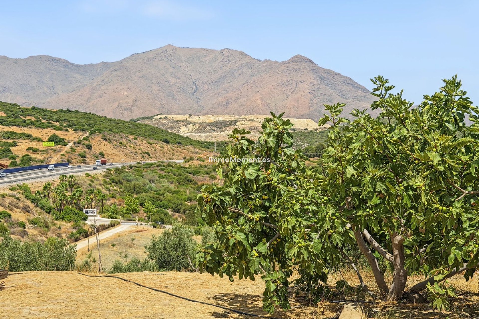 Reventa - Casa de campo - Casares - Casares Centro